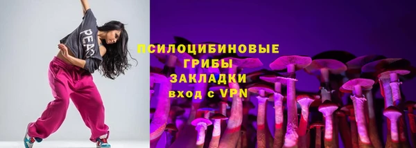 крисы Нефтекумск