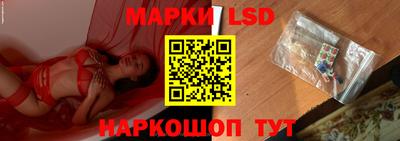 стафф Будённовск