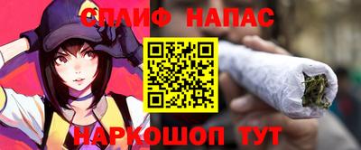 СК Балашиха