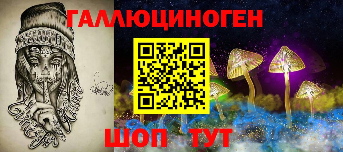 Псилоцибиновые грибы GOLDEN TEACHER  Вход с VPN  Волжск  Псилоцибиновые грибы MAGIC MUSHROOMS 