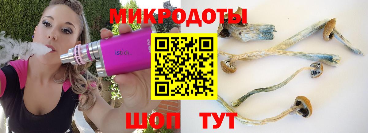 Псилоцибиновые грибы Psilocybine cubensis  Волжск  Галлюциногенные грибы прущие грибы 