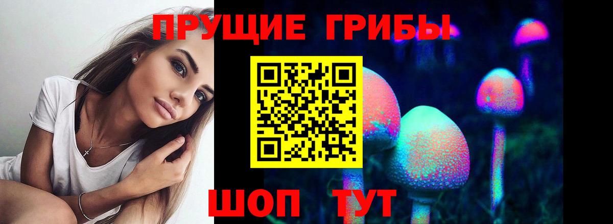 Псилоцибиновые грибы прущие грибы Волжск
